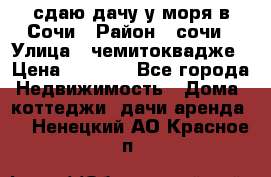 сдаю дачу у моря в Сочи › Район ­ сочи › Улица ­ чемитоквадже › Цена ­ 3 000 - Все города Недвижимость » Дома, коттеджи, дачи аренда   . Ненецкий АО,Красное п.